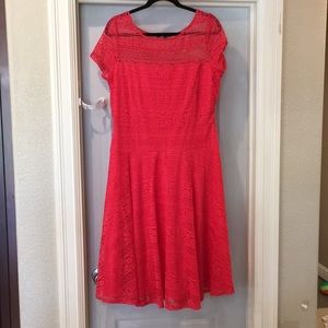 Red knee length dress. Never worn